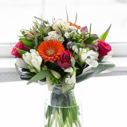 A visual celebration of colour and harmony, this luxurious bouquet from the heart of Millbank weaves creamy peach gerberas and vibrant orange counterparts into a halo of gentle optimism. Their soft petals surround bold, magenta-fuchsia roses that lend an opulent, romantic undertone typical of classical floral styles found near Westminster. Intermingled ivory alstroemeria and crisp white spray roses introduce a breath of fresh air, their lightness echoing the revitalizing spirit of the gardens near John Islip Street. Lush, glossy aspidistra leaves curve around the base, forming a sculptural green collar that holds the blooms snugly and imparts a sense of secure comfort. Smaller pointed leaves and wispy filler sprigs accent the bouquet, drawing the eye through its layers. The clear glass vase reveals vibrant stems, grounding the bouquet's effervescence with earthy strength and alluding to Millbank's natural riverside landscapes. Gentle light caresses the flowers from behind, amplifying their colour and depth while casting subtle shadows that invite a closer look. The entire display conjures an atmosphere of convivial gatherings, new beginnings, or thoughtful congratulations, making it a fitting centrepiece for a living room in Millbank or an elegant offering at a family table along the Thames. Every petal and leaf feels purposefully chosen-a testament to the artistry and authenticity of local floristry.